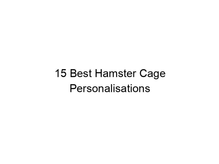 15 best hamster cage personalisations 23339