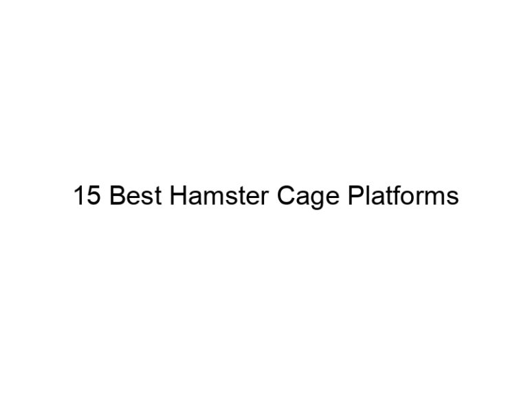 15 best hamster cage platforms 23264