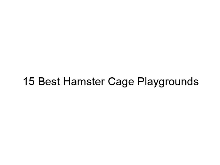 15 best hamster cage playgrounds 23287