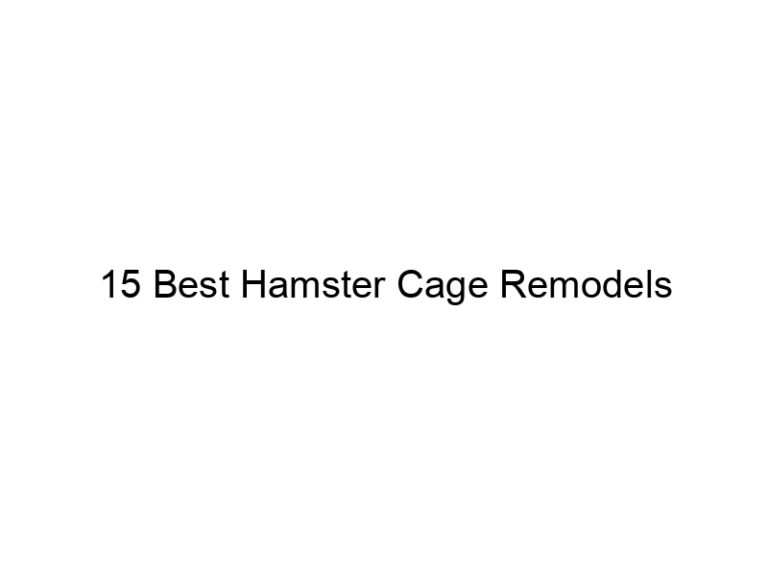 15 best hamster cage remodels 23296