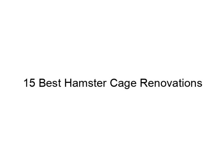 15 best hamster cage renovations 23295