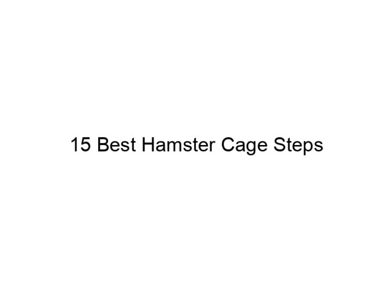 15 best hamster cage steps 23279