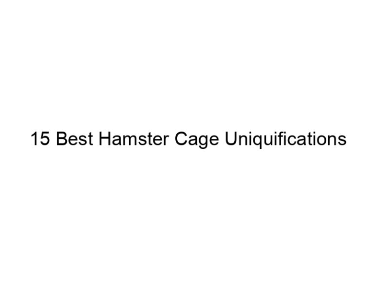 15 best hamster cage uniquifications 23388