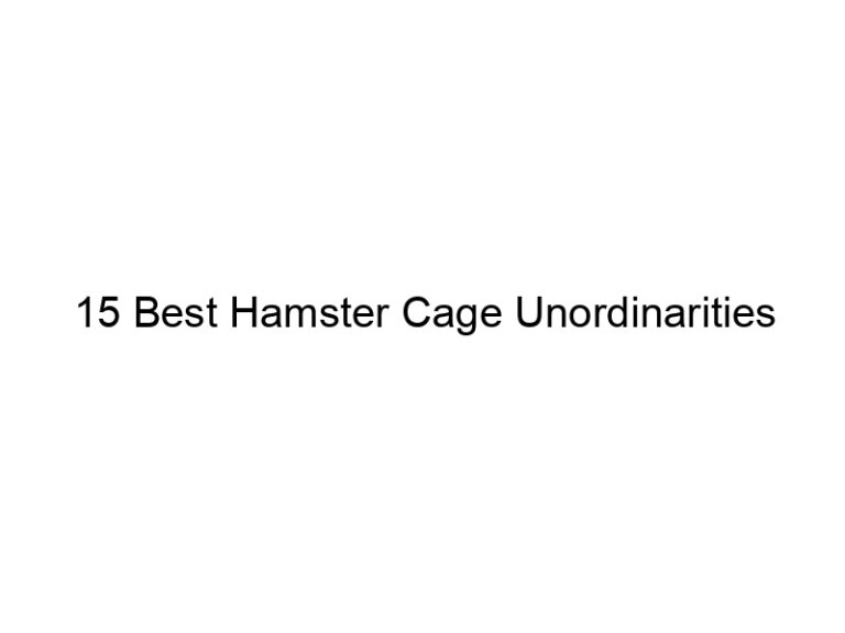 15 best hamster cage unordinarities 23361