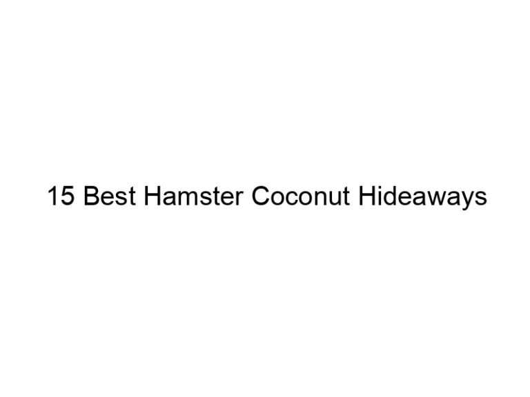 15 best hamster coconut hideaways 23229
