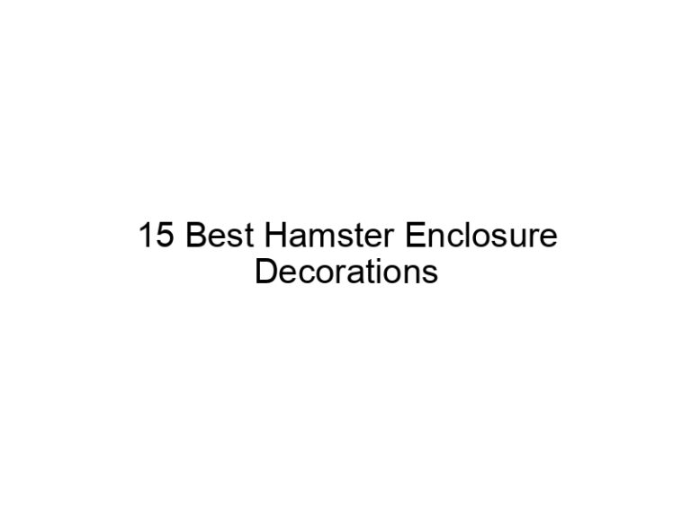 15 best hamster enclosure decorations 23204