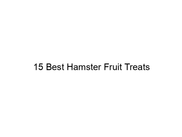 15 best hamster fruit treats 23208