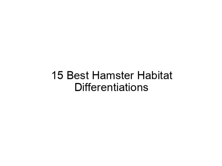 15 best hamster habitat differentiations 23471