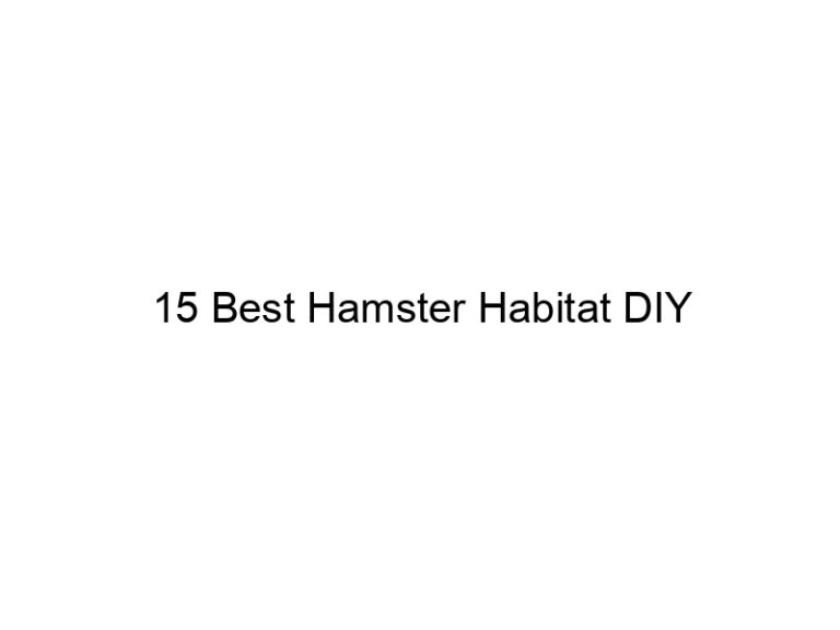 15 best hamster habitat diy 23427