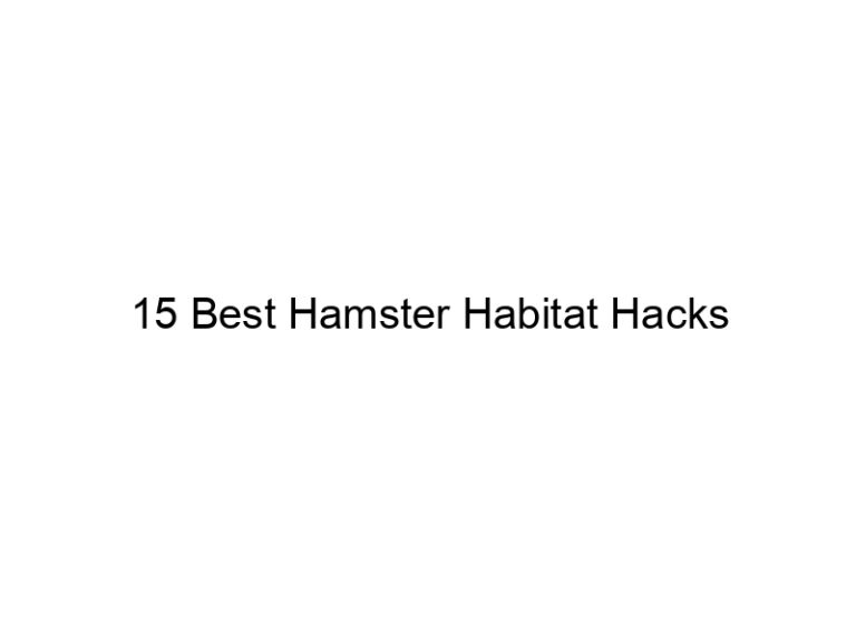 15 best hamster habitat hacks 23426
