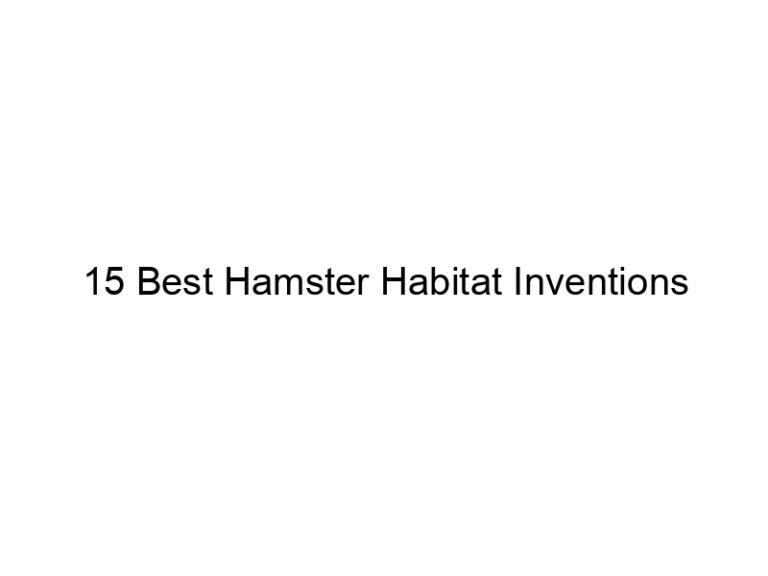 15 best hamster habitat inventions 23448