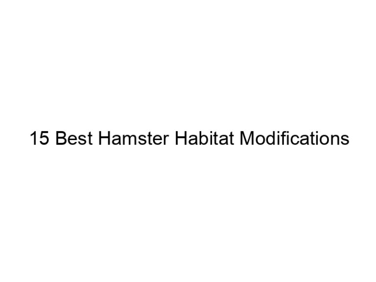 15 best hamster habitat modifications 23417