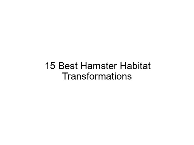 15 best hamster habitat transformations 23422