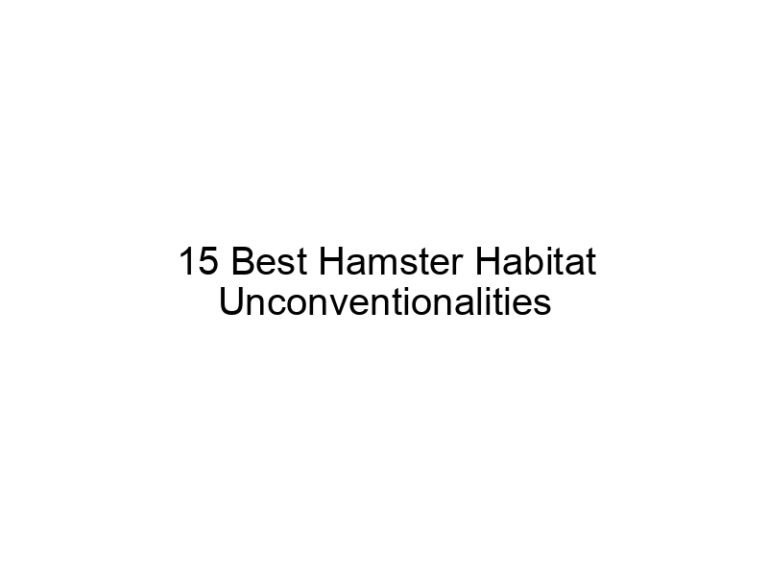 15 best hamster habitat unconventionalities 23473