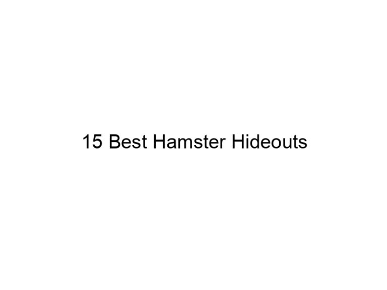 15 best hamster hideouts 23175