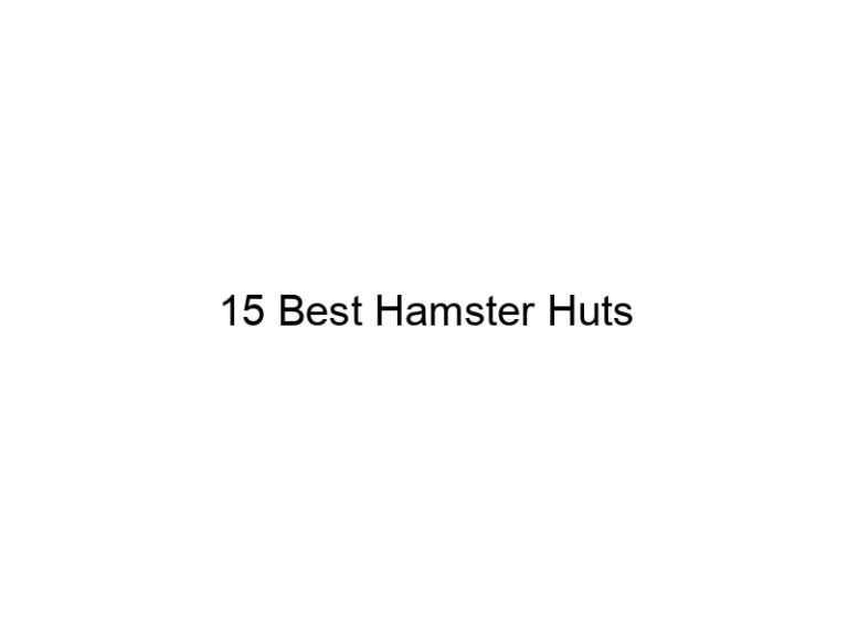15 best hamster huts 23191