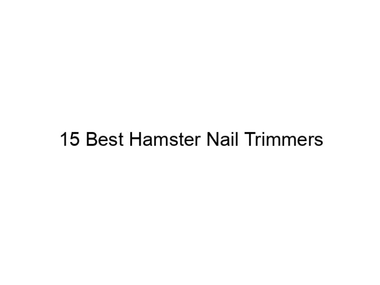 15 best hamster nail trimmers 23402
