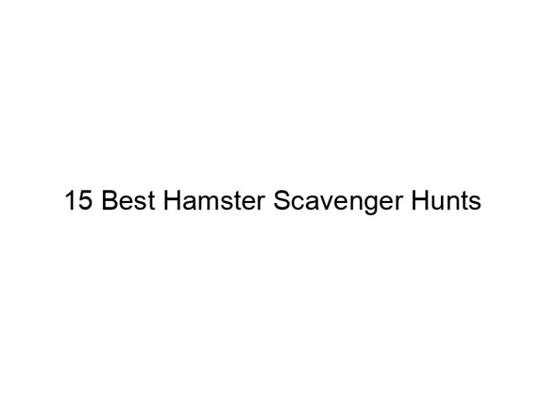15 best hamster scavenger hunts 23225