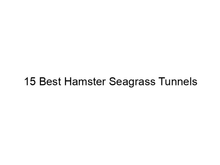 15 best hamster seagrass tunnels 23234