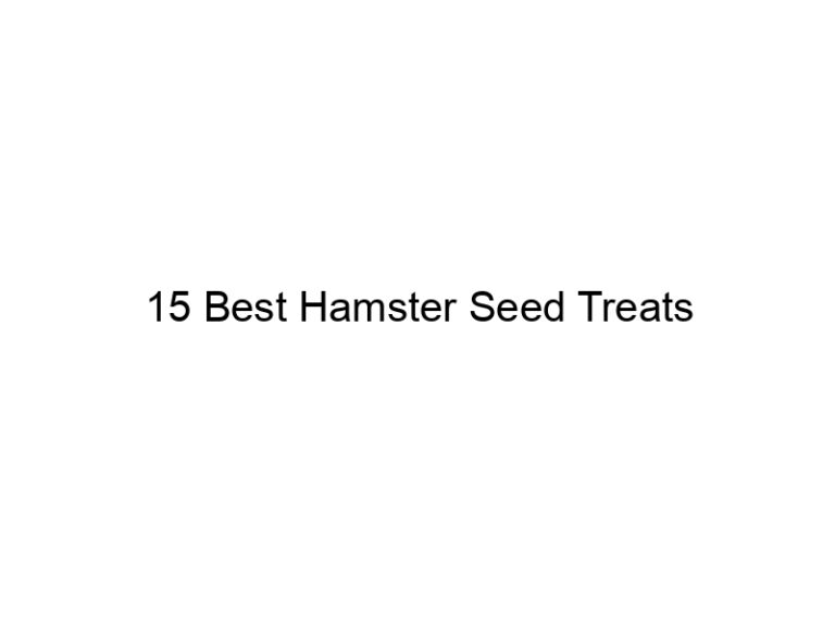 15 best hamster seed treats 23209