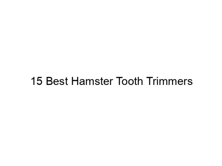 15 best hamster tooth trimmers 23405