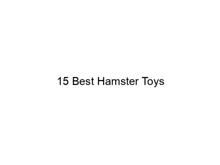 15 best hamster toys 23172