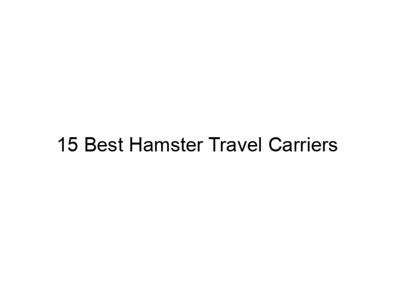 15 best hamster travel carriers 23201