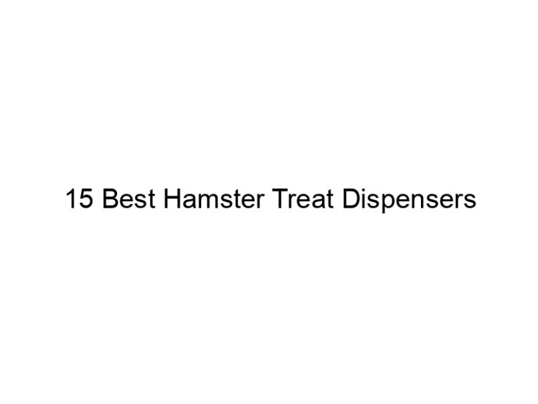 15 best hamster treat dispensers 23223