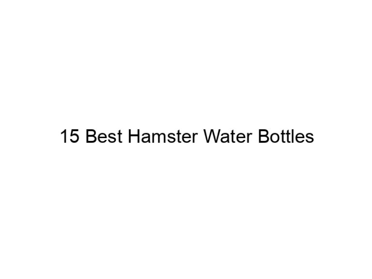 15 best hamster water bottles 23399