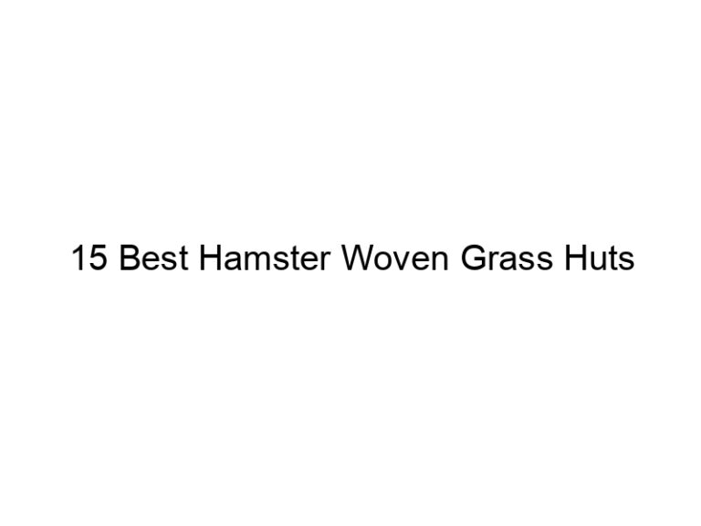 15 best hamster woven grass huts 23230
