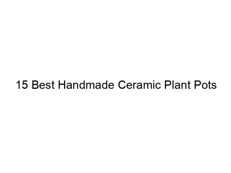 15 best handmade ceramic plant pots 6594