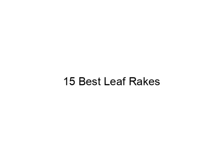 15 best leaf rakes 20361