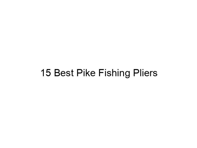 15 best pike fishing pliers 21107