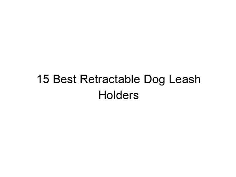 15 best retractable dog leash holders 10815