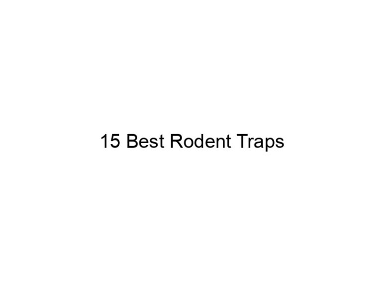15 best rodent traps 20558