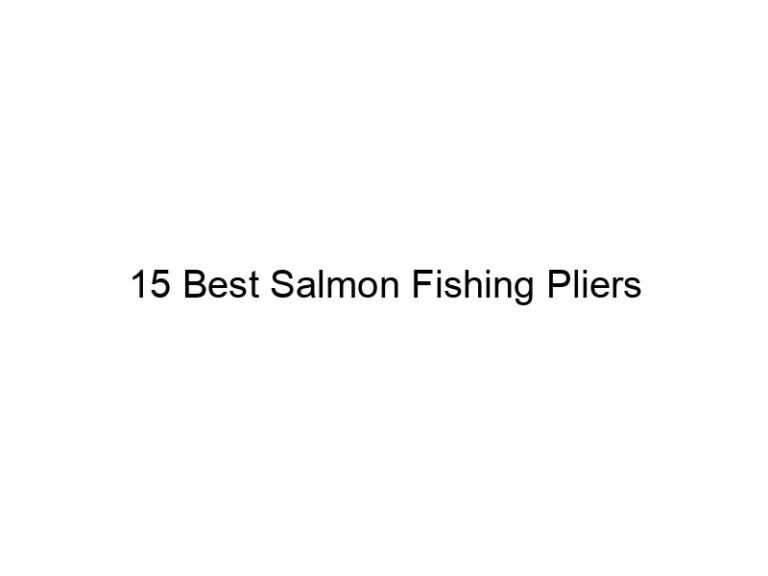 15 best salmon fishing pliers 21150