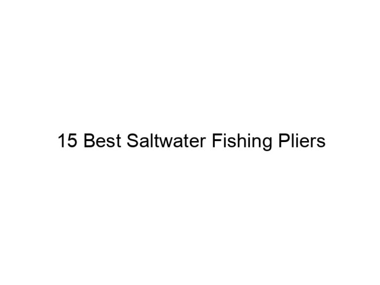 15 best saltwater fishing pliers 21170