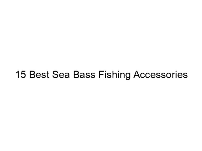 15 best sea bass fishing accessories 21179