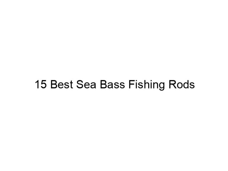 15 best sea bass fishing rods 21192