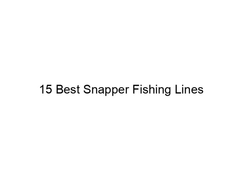 15 best snapper fishing lines 21207