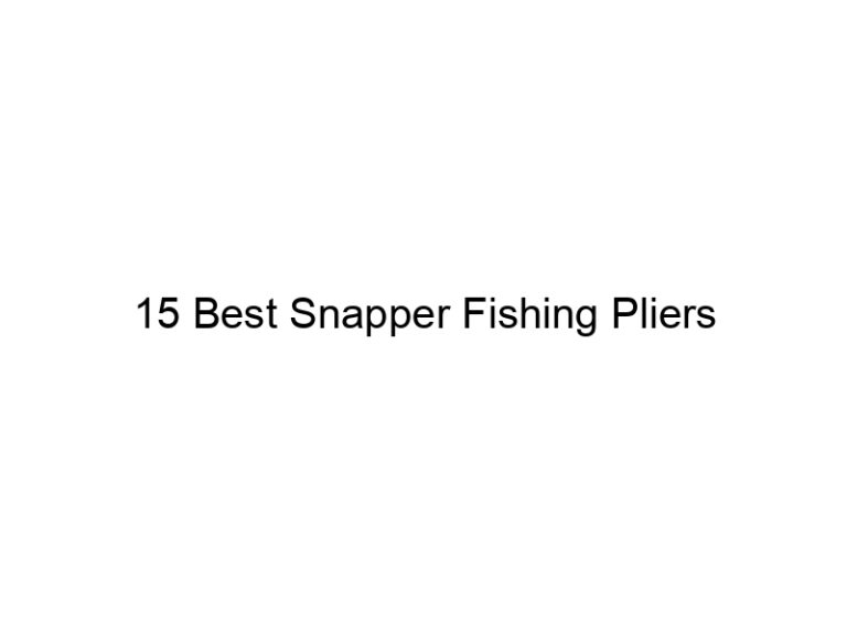 15 best snapper fishing pliers 21210