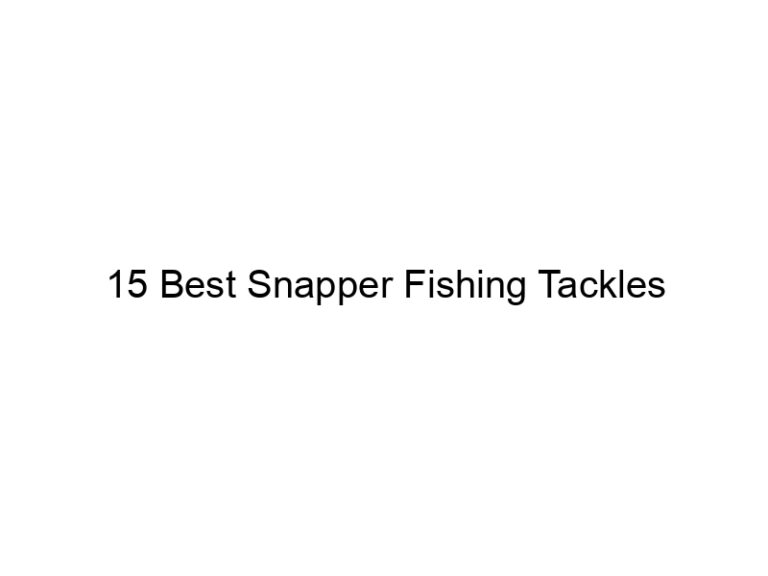 15 best snapper fishing tackles 21215