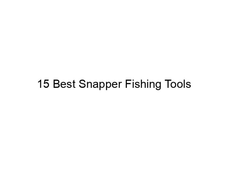 15 best snapper fishing tools 21216
