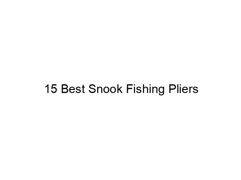 15 best snook fishing pliers 21230