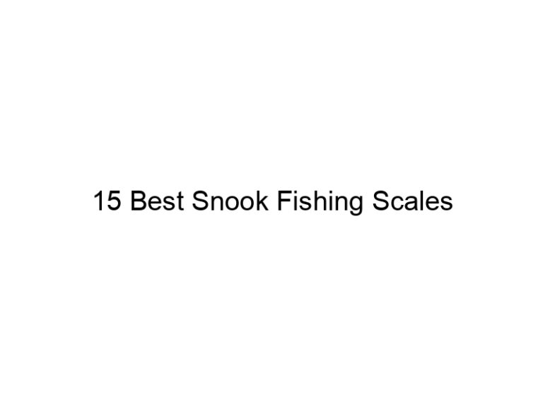 15 best snook fishing scales 21233