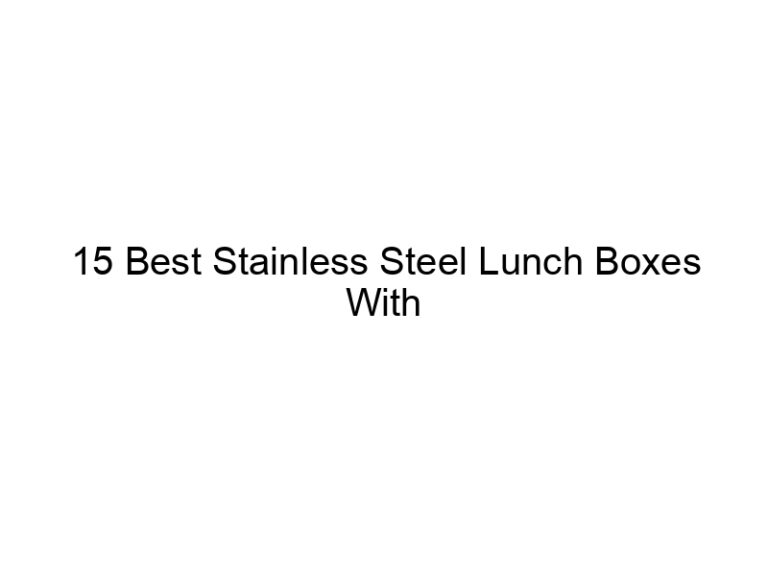 15 best stainless steel lunch boxes with compartments 6612