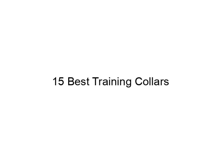 15 best training collars 7065
