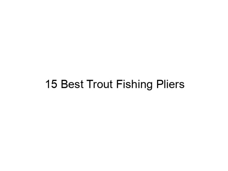 15 best trout fishing pliers 21330