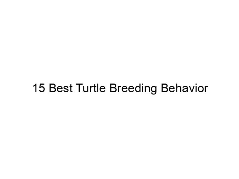 15 best turtle breeding behavior 29981