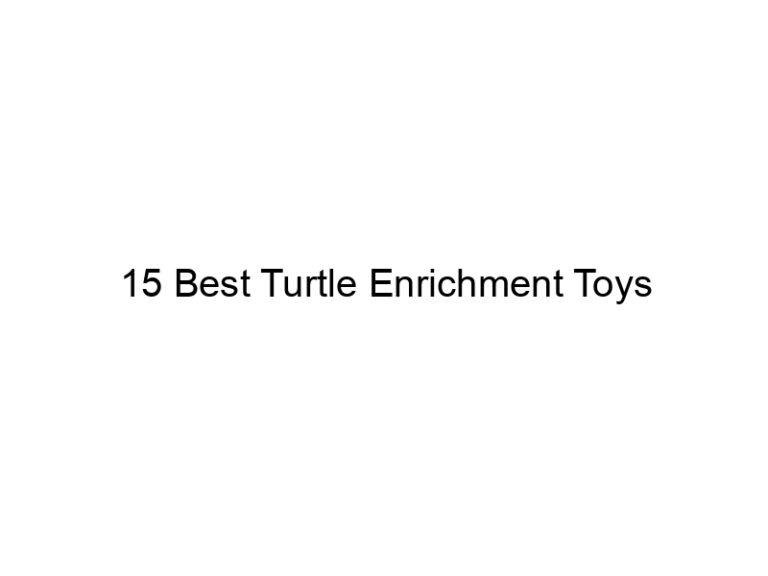 15 best turtle enrichment toys 29944